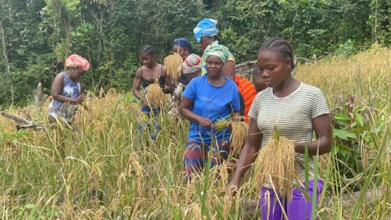 Cultivating Change: The Women Who Refuse to Give Up