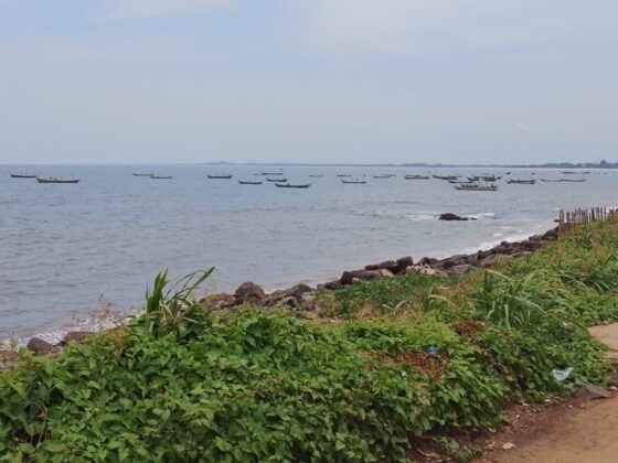 The Ocean’s Future Is Our Future: Advancing Women’s Leadership for Inclusive Ocean Governance in Liberia